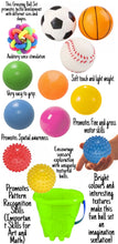 Load image into Gallery viewer, Toddler Sensory Ball Set - 13 Pieces
